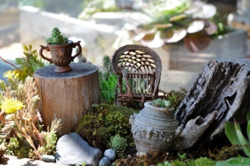 Giardino in miniatura? Ecco come fare!